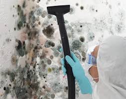 Reliable Black Point Green Point, CA Mold Removal Services Solutions